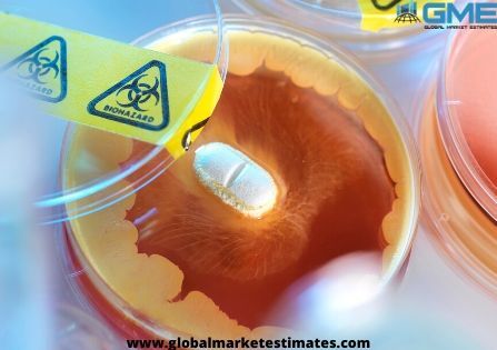 Antibiotic Resistance Market